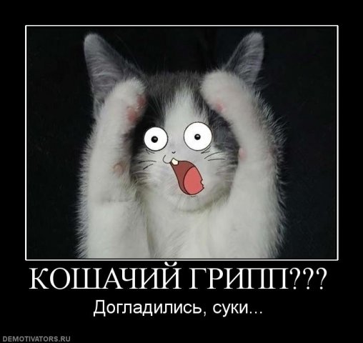 http://cs1675.vkontakte.ru/u8676372/97899810/x_279d21c7.jpg